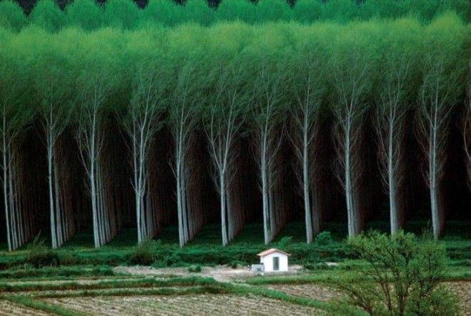 20 потрясающих фотографий, которые покорили нас 20 потрясающих фотографий, которые покорили нас