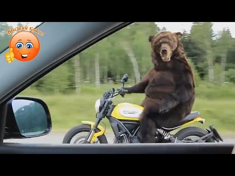 Это Россия, Детка! Умом Россию Не Понять #1 Это Россия, Детка! Умом Россию Не Понять #1