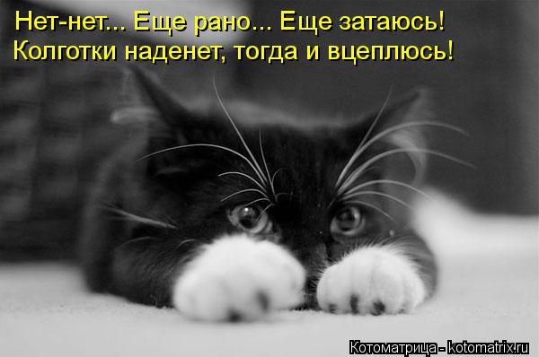 Нет-нет... Еще рано... Еще затаюсь! Колготки наденет, тогда и вцеплюсь!... Нет-нет... Еще рано... Еще затаюсь! Колготки наденет, тогда и вцеплюсь!