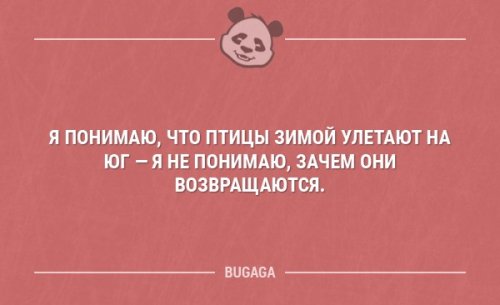 Немного юмора не помешает! Немного юмора не помешает!