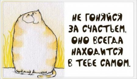Премудрости в картинках, умные и смешные фразы.
