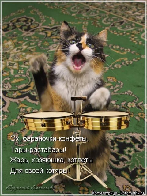 Самые свежие котоматрицы )) Самые свежие котоматрицы ))