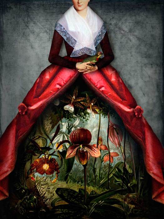 Таинственный сад волшебных цветов. Автор: Catrin Welz-Stein. Таинственный сад волшебных цветов. Автор: Catrin Welz-Stein.