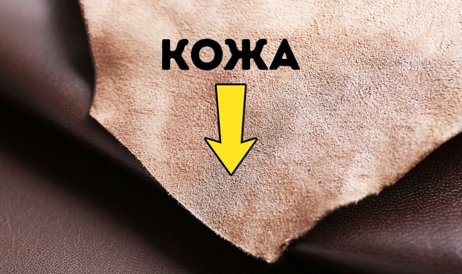 10 разновидностей натуральной кожи и как быстро отличить ее от кожзама 10 разновидностей натуральной кожи и как быстро отличить ее от кожзама