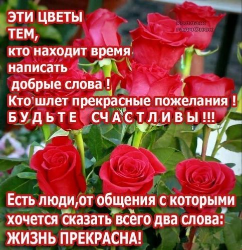 Поздравления красивые женщине самые лучшие Поздравления красивые женщине самые лучшие