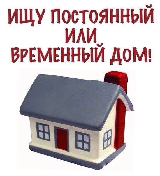 Его не любили и плохо с ним обращались...Теперь должно быть по-другому! Его не любили и плохо с ним обращались...Теперь должно быть по-другому!