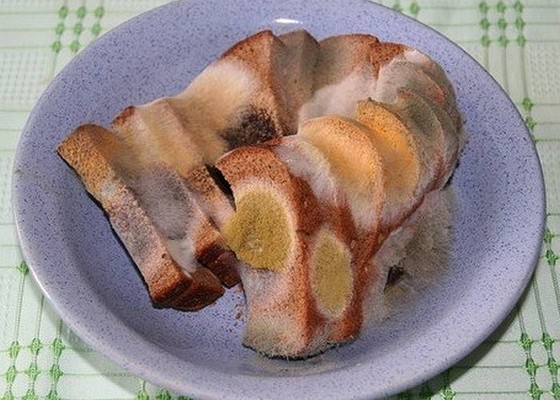 Самая опасная еда в мире Самая опасная еда в мире