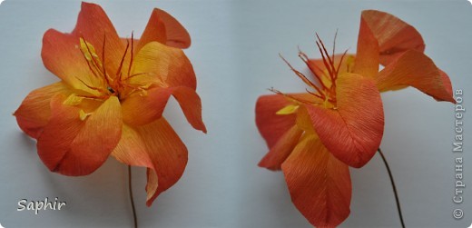 Поделка изделие Бумагопластика цветы из гофробумаги  мастер-класс Бумага гофрированная фото 7