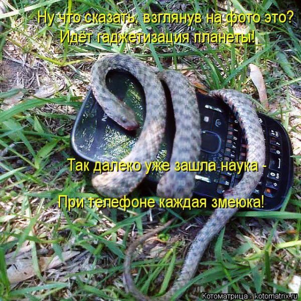 Лучшие котоматрицы за прошедшую неделю)) Лучшие котоматрицы за прошедшую неделю))