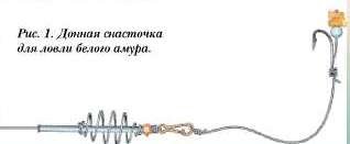 какие снасти для ловли амура какие снасти для ловли амура