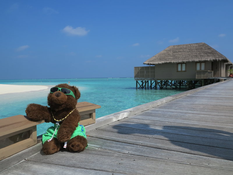 A teddy bear on a beach vacation.