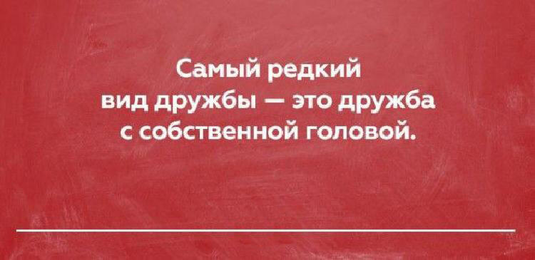 20 открыток о правде жизни, в которых Вы обязательно найдете что-то свое 20 открыток о правде жизни, в которых Вы обязательно найдете что-то свое