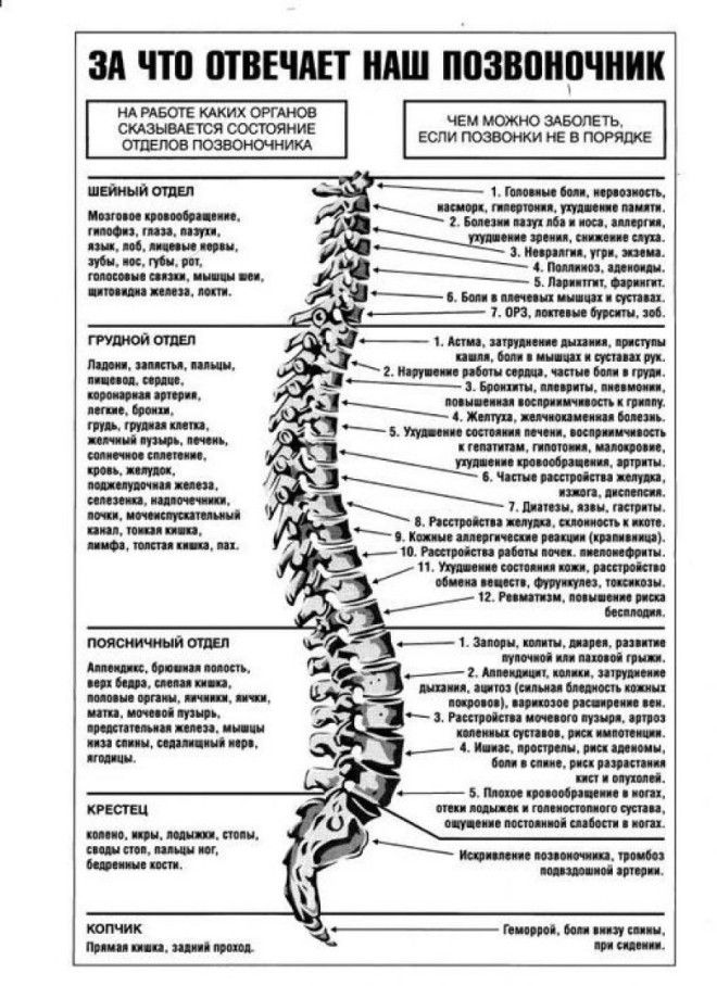 Жалобы при болях отдельных позвонков и что это означает