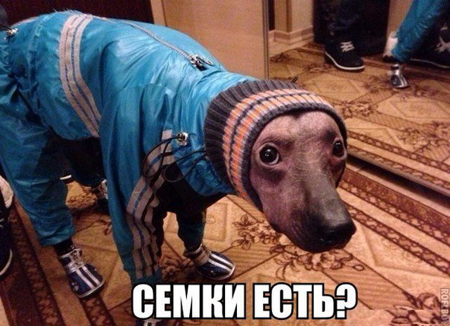 У одинокого оптимиста кровать наполовину полная) У одинокого оптимиста кровать наполовину полная)