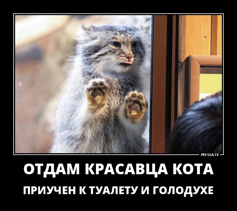 Самые оптимистичные осенние демотиваторы Самые оптимистичные осенние демотиваторы