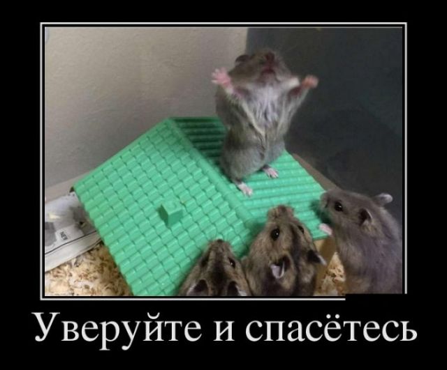 Прикольные картинки для зарядки хорошим настроением. Всем добрых событий на сегодня!!!! Прикольные картинки для зарядки хорошим настроением. Всем добрых событий на сегодня!!!!