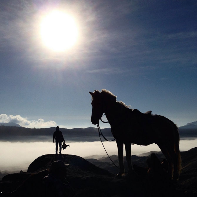 Лучшее с АdMe Photo Awards 2014 за неделю