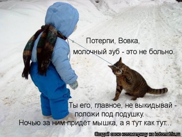 Лучшие котоматрицы за прошедшую неделю)) Лучшие котоматрицы за прошедшую неделю))