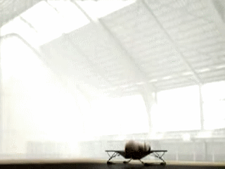 ПЯТНИЦА!!! - пятница, слон