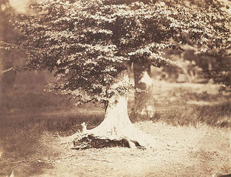 10 самых дорогих фотографий в мире
