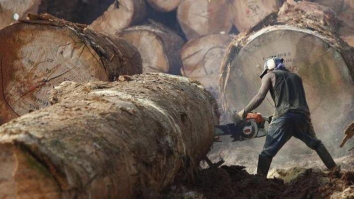 13 самых опасных работ в мире 13 самых опасных работ в мире