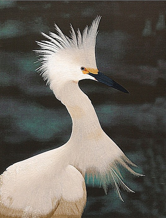 001fw504 (535x700, 139Kb)