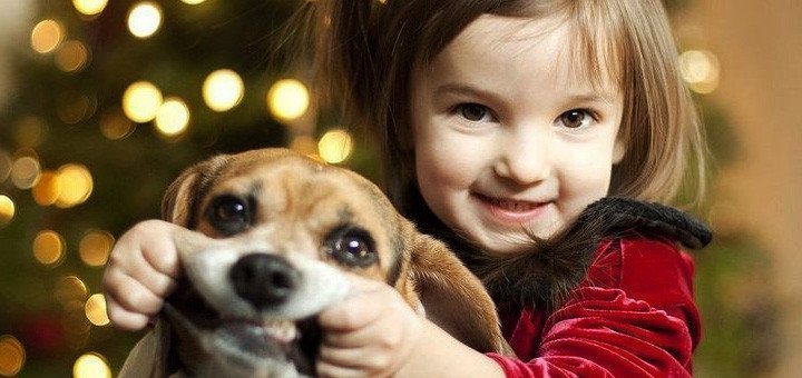 Собаки и их люди Собаки и их люди