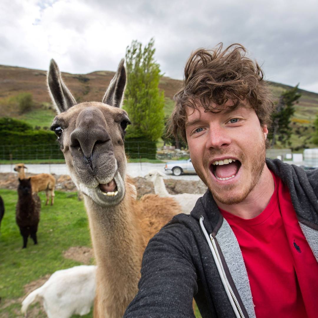 Приколы С Людьми И Животными Самые Смешные — Приколы