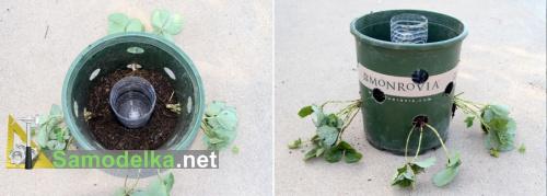 ������������� ����� � ������ ��������