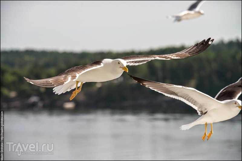 ������. ��������� ����� / ���� �� ������