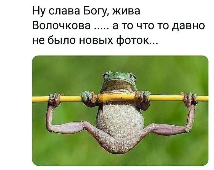 Поляк и француз на пляже. Вокруг француза — стая женщин, на поляка же внимания никто не обращает... Поляк и француз на пляже. Вокруг француза — стая женщин, на поляка же внимания никто не обращает...