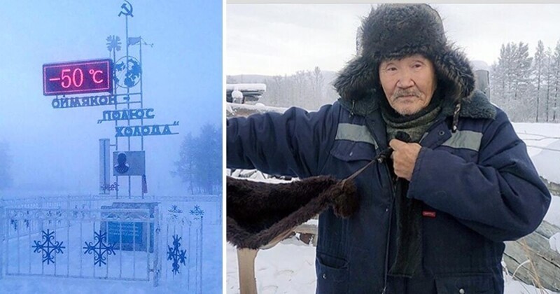 В Якутии из-за сильных морозов шьют меховые лифчики для коров
