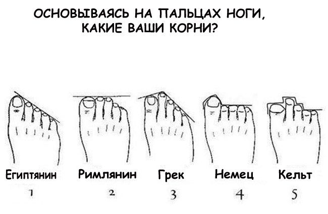 Тест: Кем были ваши далекие предки? Тест: Кем были ваши далекие предки?