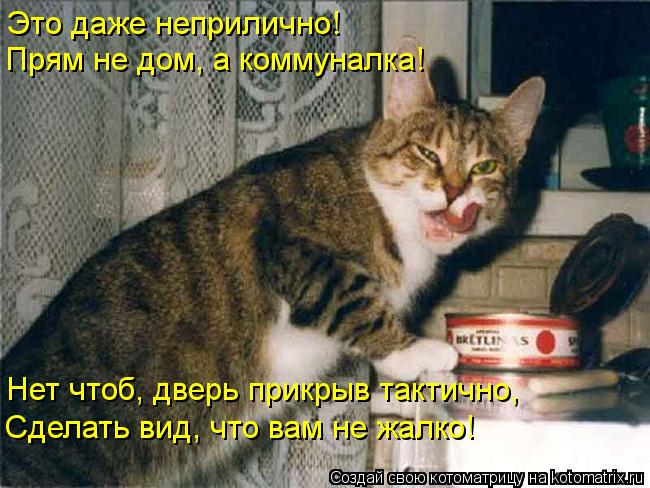 Котоматрица - Послушна и добра душа моя -  Тем злее и вредней второе Я!