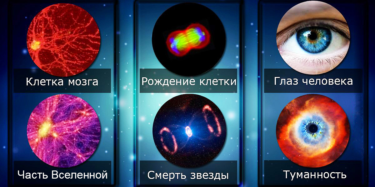 Йога Служения обществу – Путь обретения Любви к Богу Йога Служения обществу – Путь обретения Любви к Богу