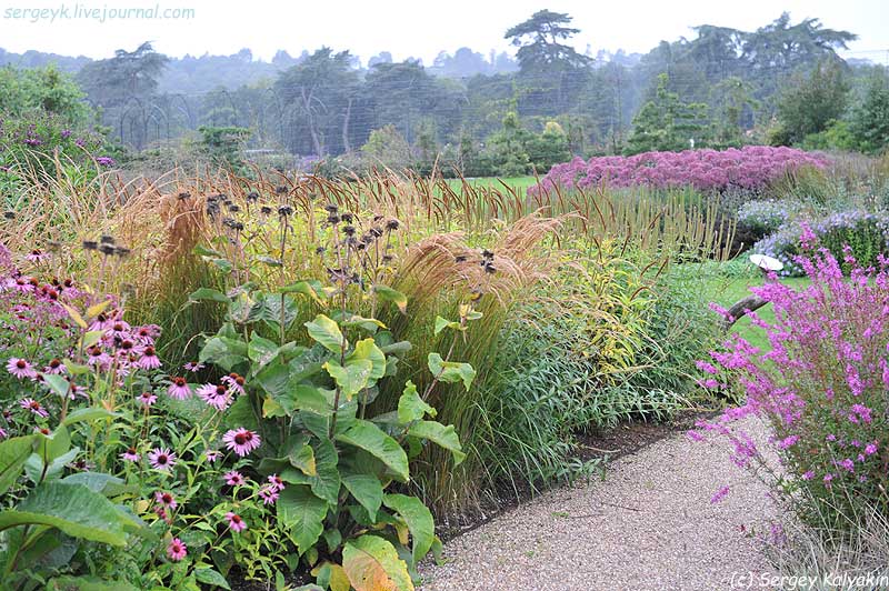 Trantham Gardens 247.JPG Trantham Gardens 247.JPG