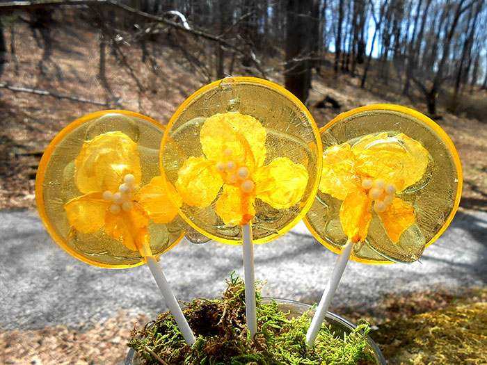 flower-lollipops-food-art-sugar-bakers-janet-best-11