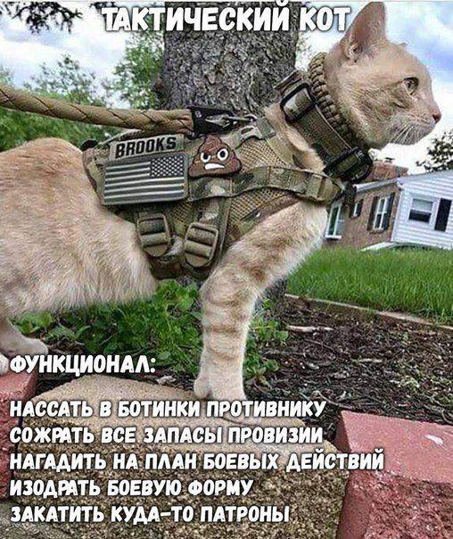Прикольные картинки и фотографии с надписями (11 фото) Прикольные картинки и фотографии с надписями (11 фото)