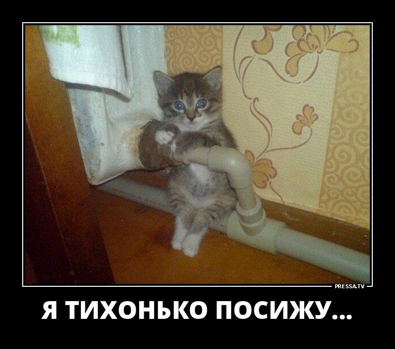 Новые позитивные демотиваторы о жизни Новые позитивные демотиваторы о жизни