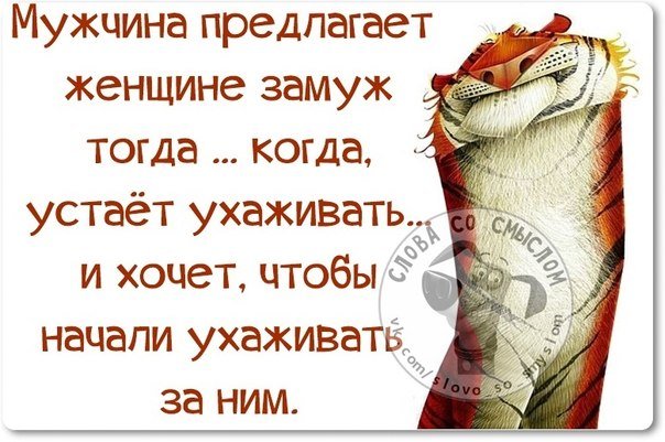 Короткие веселые цитаты со смыслом Векторные браки. Совместимость знаков в структурном гороскопе