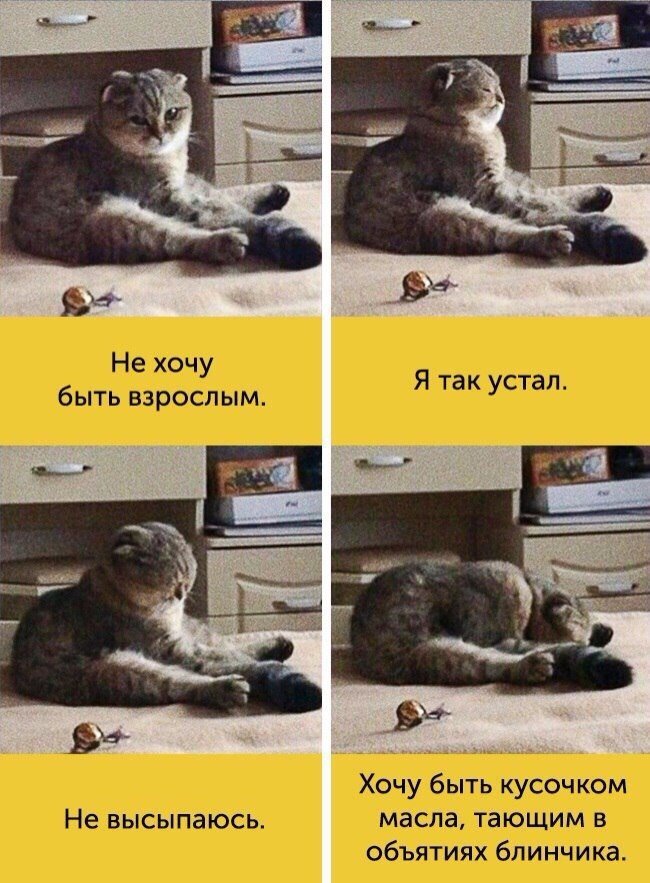 У одинокого оптимиста кровать наполовину полная) У одинокого оптимиста кровать наполовину полная)