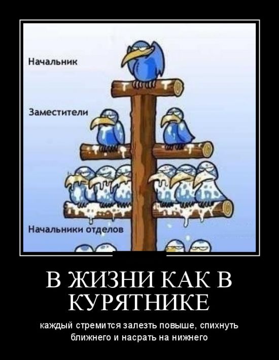 Веселые демотиваторы на четверг (12 фото) Веселые демотиваторы на четверг (12 фото)