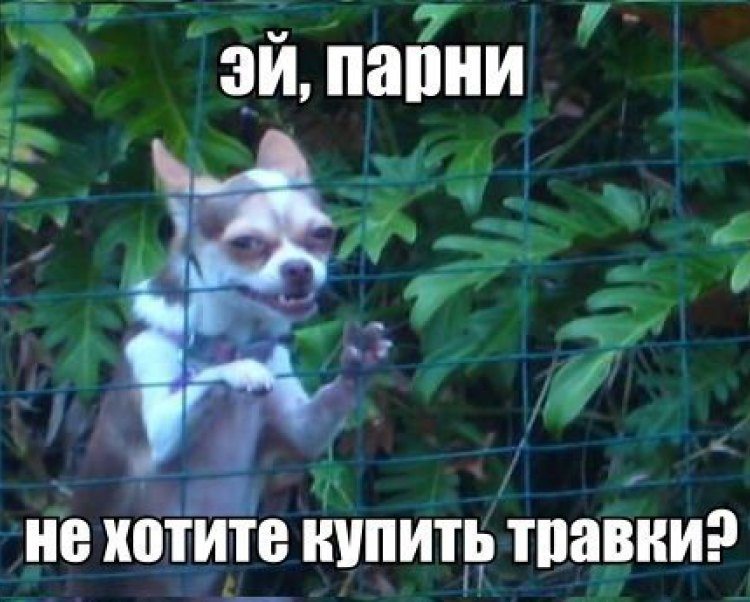 Глядя на эти фото, ты будешь смеяться так, что сбегутся соседи! Глядя на эти фото, ты будешь смеяться так, что сбегутся соседи!