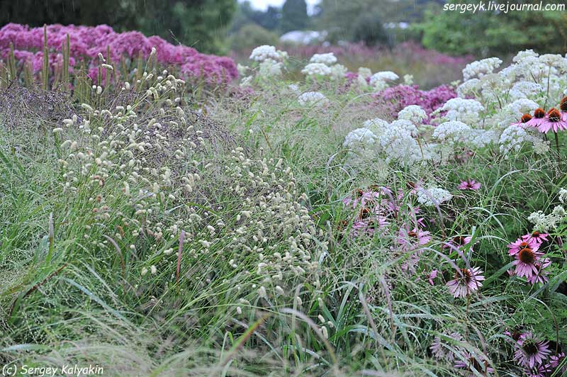 Trantham Gardens 259.JPG Trantham Gardens 259.JPG