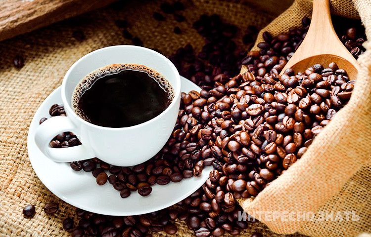 15 фактов о кофеине, которые важно знать