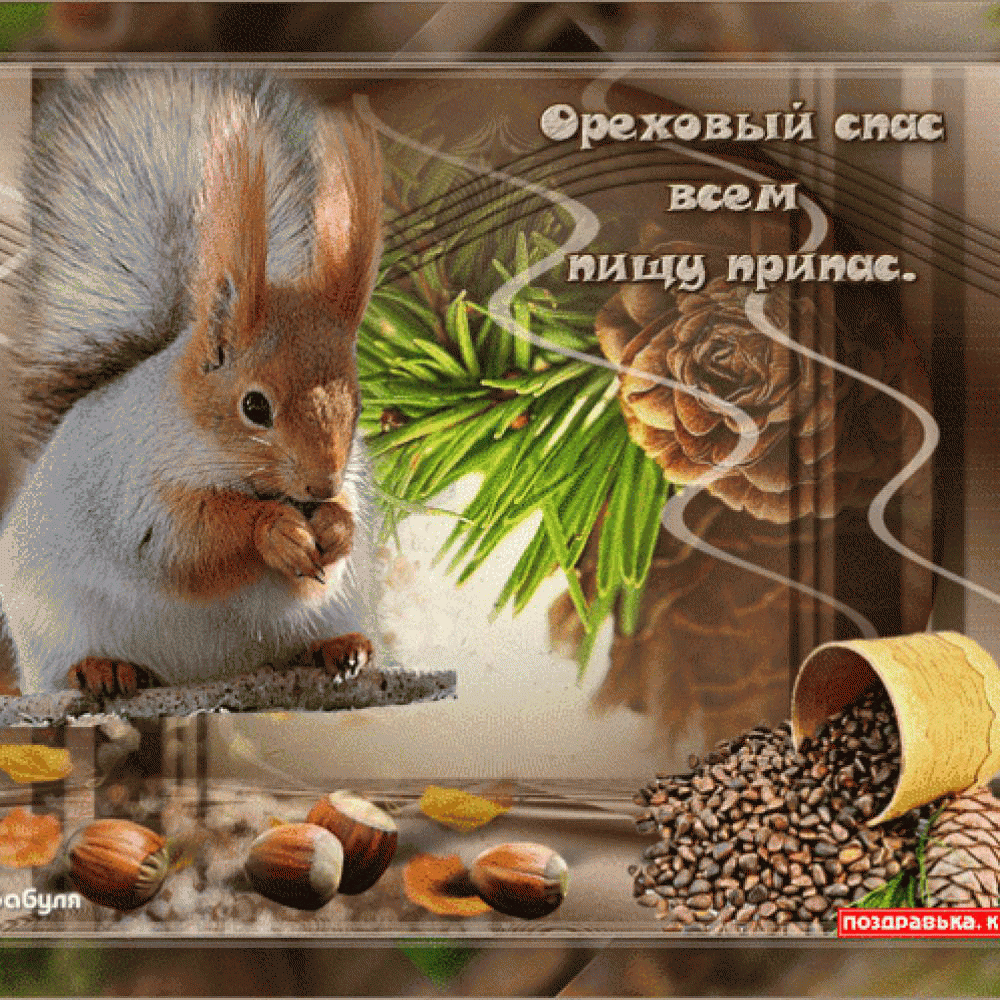 ореховый спас что приготовить. original. ореховый спас что приготовить фото. ореховый спас что приготовить-original. картинка ореховый спас что приготовить. картинка original. Ореховый Спас отмечается 29 августа. Его ещё называют третьим Спасом, ведь ему предшествуют медовый и яблочный. В это день принято печь пироги и готовить блюда с орехами. Рассказываем об истории этого праздника и чем он замечателен.