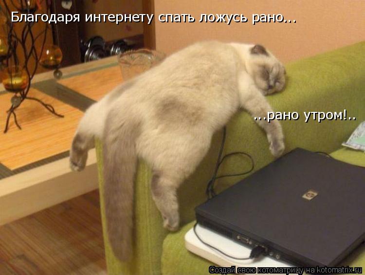 -      ... ... !..