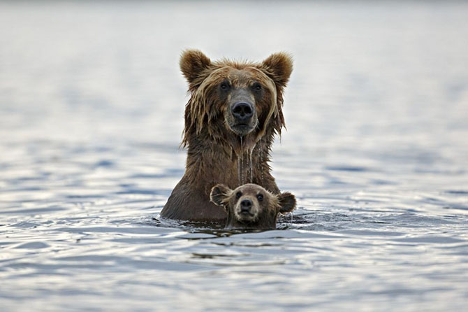 30 лучших снимков National Geographic за год