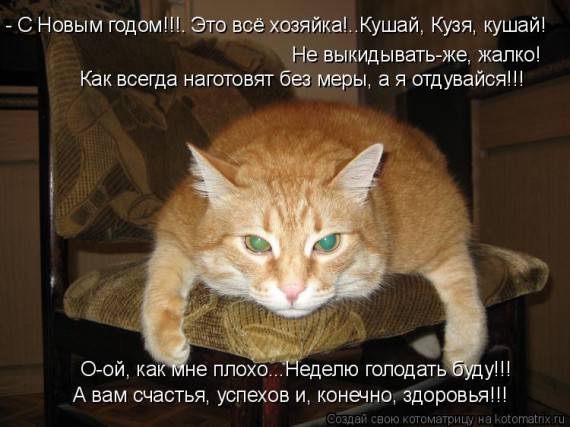 Котоматрицы новогодние великолепные, каждая с кусочком тепла, позитива и улыбкой!