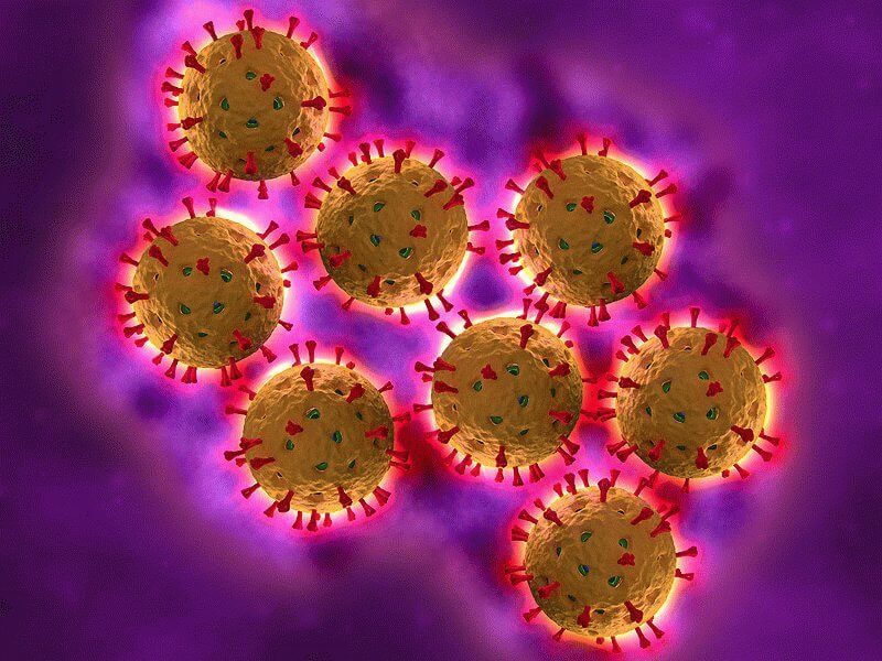 Что необходимо знать о ротавирусной инфекции